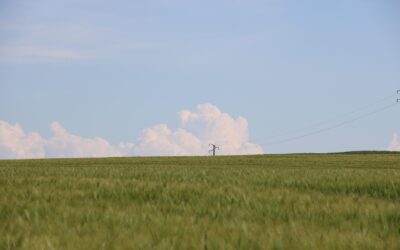 Vendre son terrain rapidement : comment Smartimmo achète votre parcelle en 20 jours